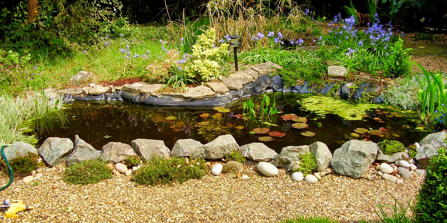 La troisième plante achetée est à -30% ! Apportez vie et harmonie à votre jardin !
