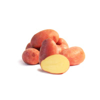 Solanum tuberosum rose de france (cirielle) - Pomme de terre Rose de France - Cirielle - Plants de pommes de terre