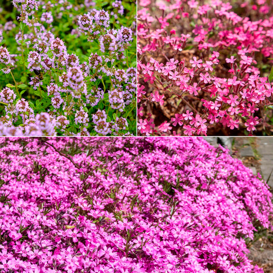 Tapis fleuri rose - Bakker