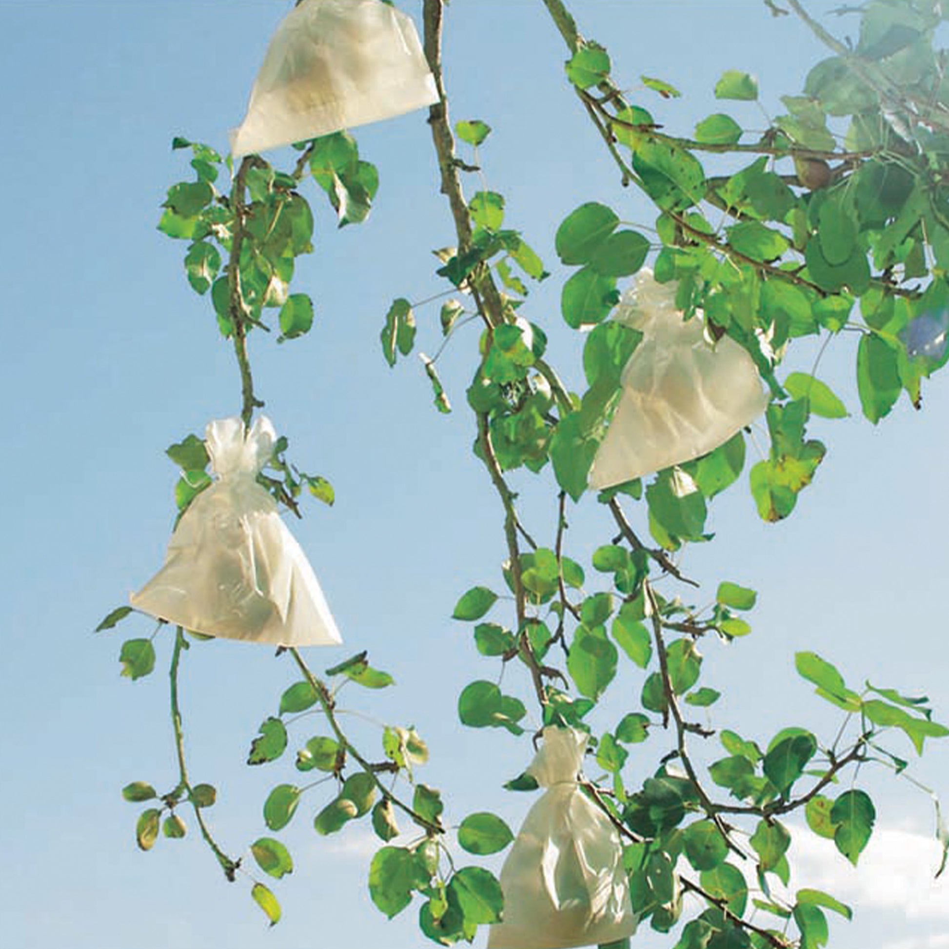 Housse à fruits - Fruitsac -  - Bakker