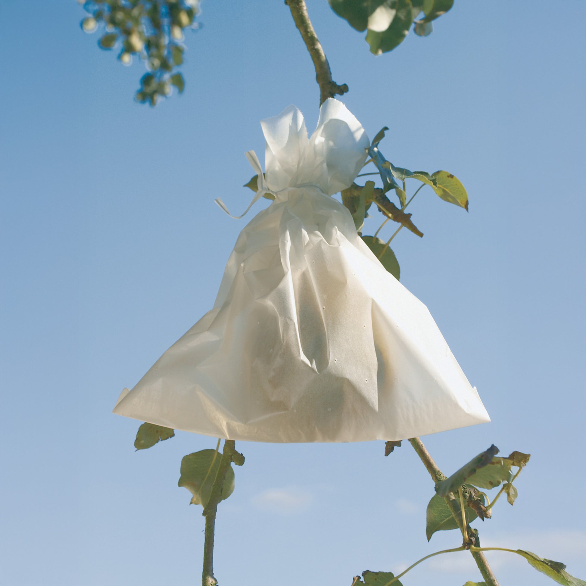 Housse à fruits - Fruitsac - Bakker