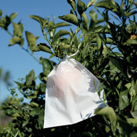  - Housse à fruits - Fruitsac - Entretien et Matériel