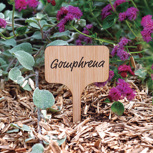 Etiquette à planter en bambou - Bakker