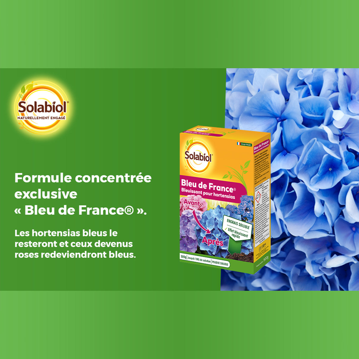 Bleu de France -  - Bakker