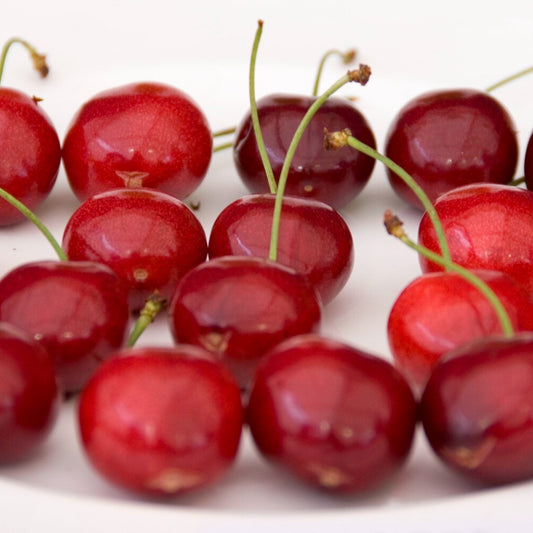 Cerisier Sunburst - Bakker