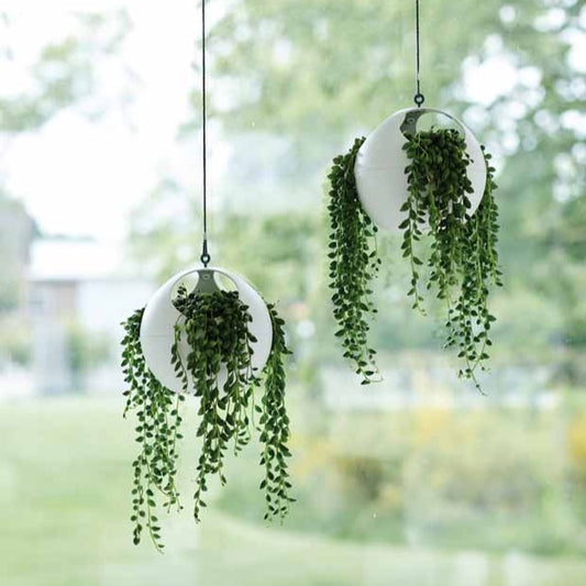 Pot suspendu Elho B.for soft air blanc - Bakker