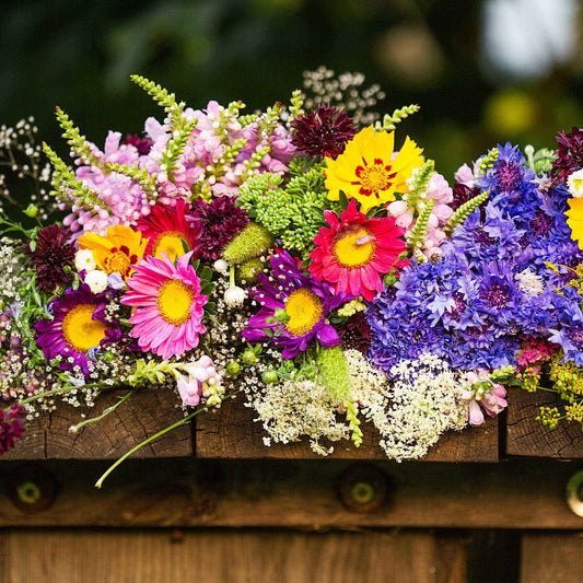 Tapis de fleurs pour jardinière - Bakker