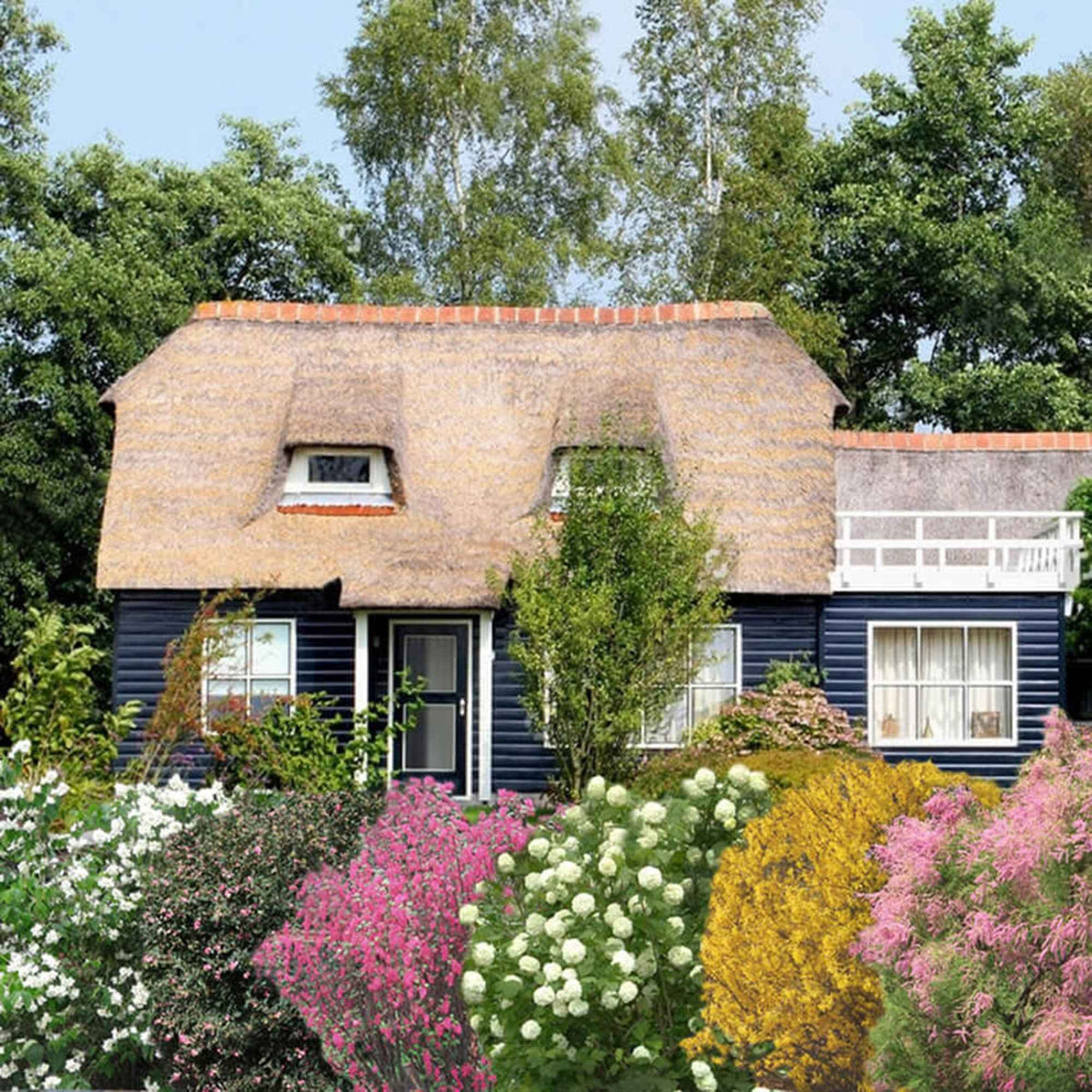Haie des quatre saisons - Tamarix, forsythia, philadelphus, ribes, symphonicarpus, viburnum - Bakker