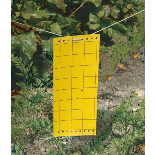 5 Pièges à insectes englués NORTENE - Bakker