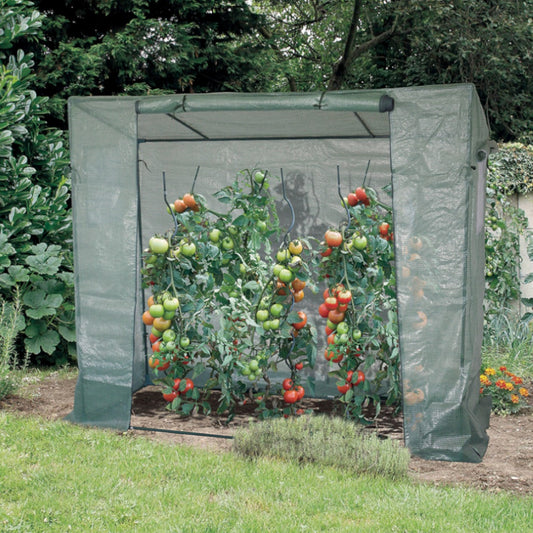 Serre pour tomates - Bakker