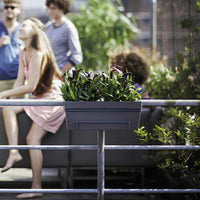 Elho Balconnière Loft urban anthracite - Bakker