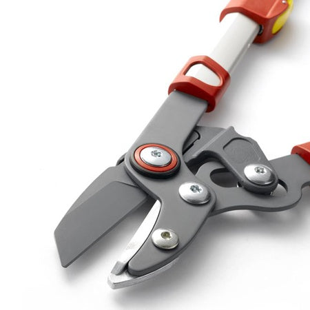 Elagueur premium télescopique enclume 50 mm WOLF -  - Bakker