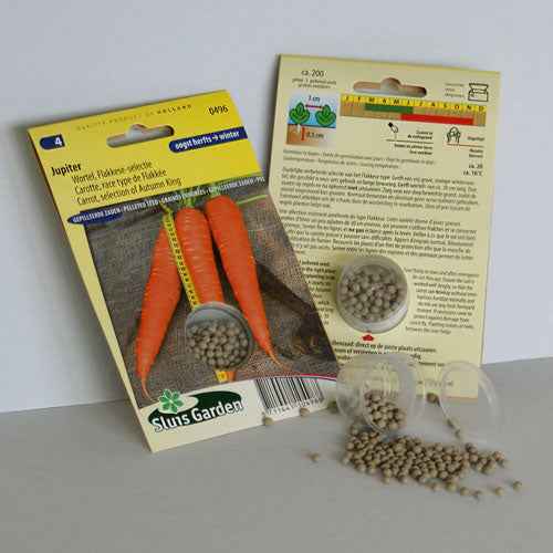 Carotte Jupiter Flakkese sélection - Bakker