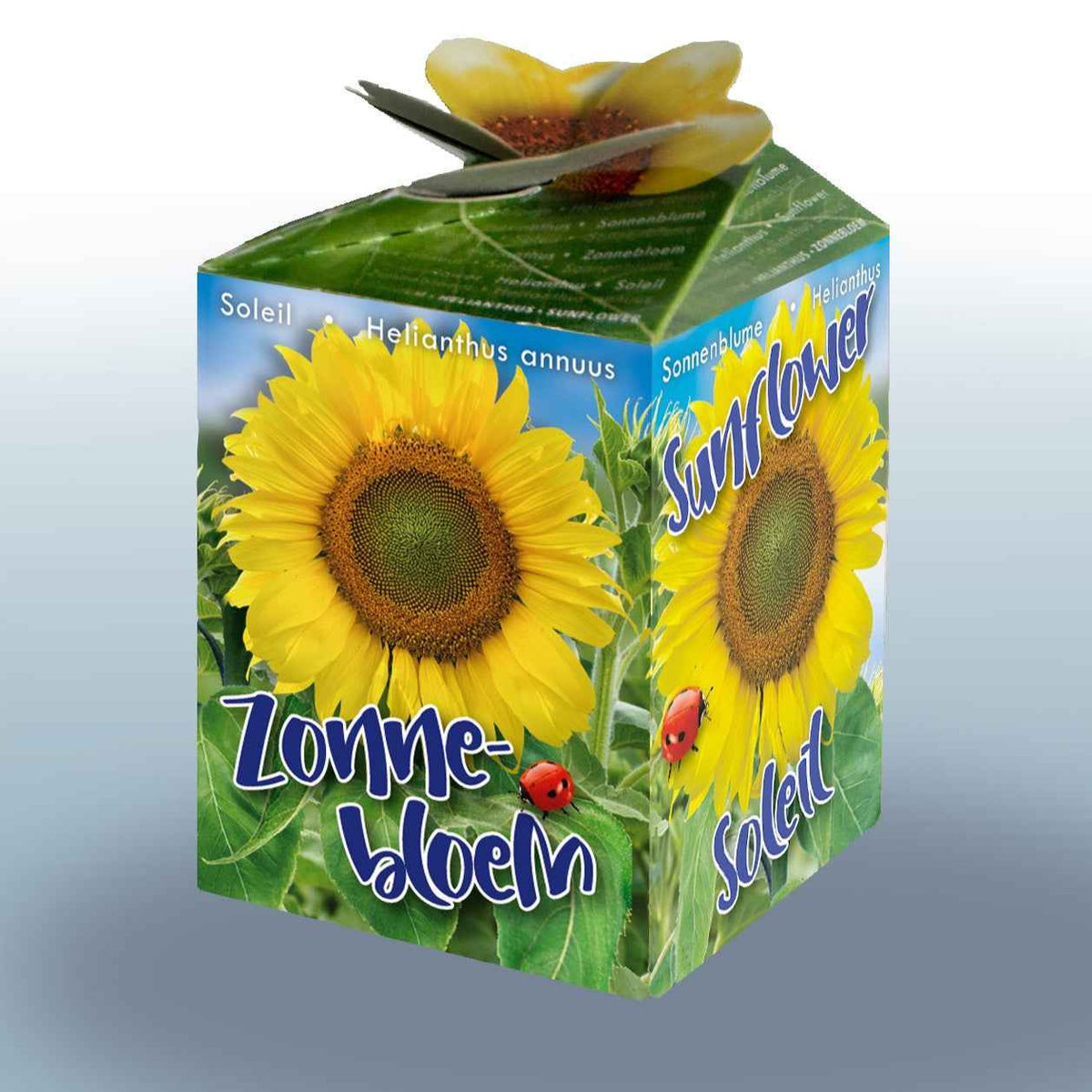 Kit Tournesol - Bakker