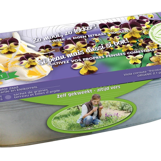 Graines de Pensées - Viollettes et jardinière zinc Bio - Bakker