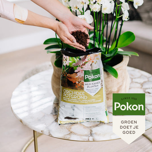 Pokon terreau pour orchidées RHP - Bakker