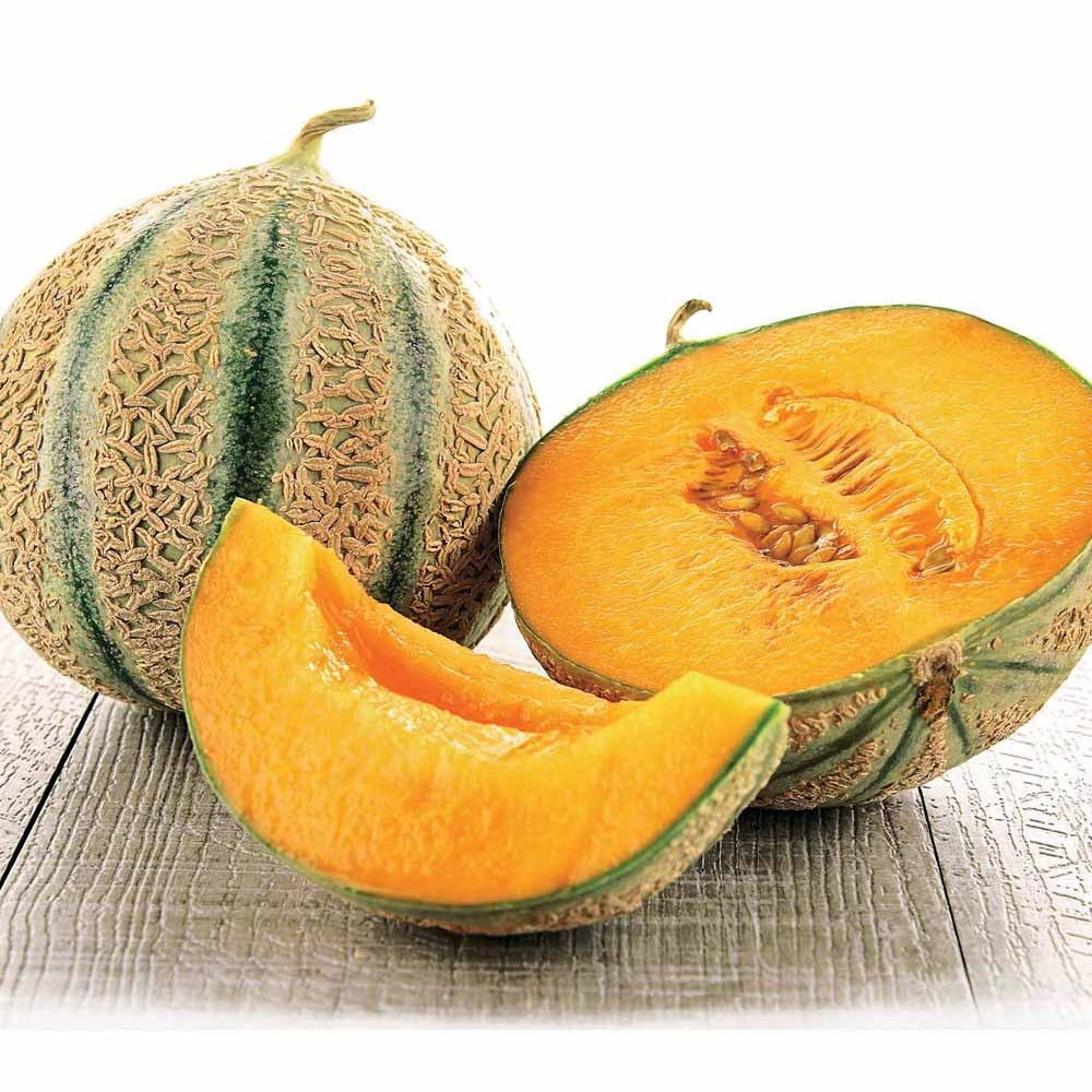 Melon Stellio F1 - Cucumis melo stellio f1 - Bakker