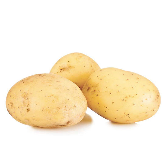 Bakker - 25 Pommes de terre Etincelle - Solanum tuberosum etincelle - Potager