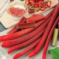 Rhubarbe Rheum 'Victoria' Biologique - Légumes