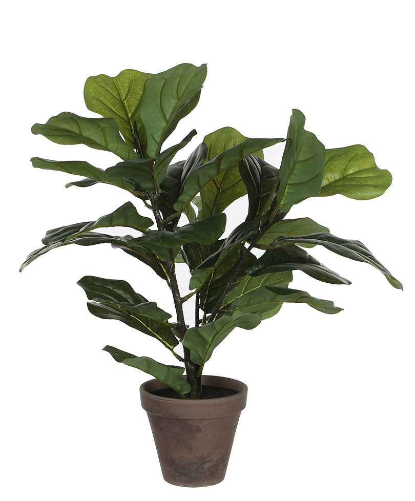 Ficus Lyrata (Fig fiddleleaf) artificiel - Plantes artificielles