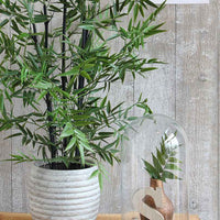Mica Cloche en verre Hella sur soucoupe en bois - Petits pots de fleurs