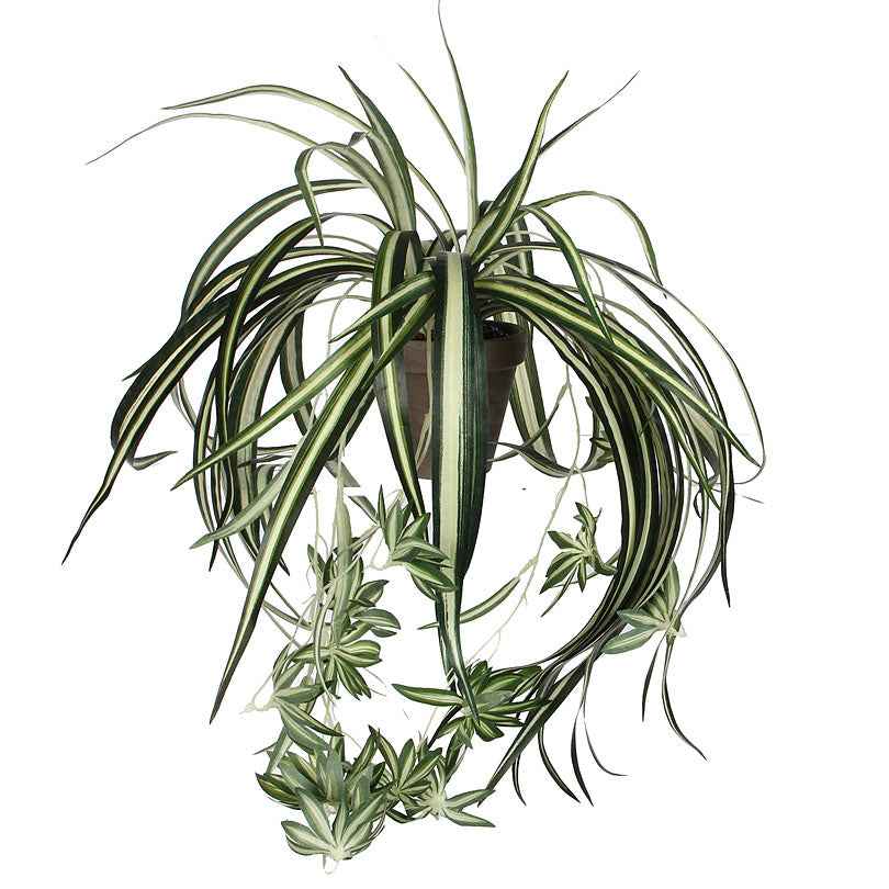 Chlorophytum artificiel retombant - Plantes artificielles populaires