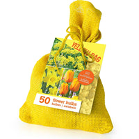 50x bulbes de fleurs dans un sac de jute Jaune - Tous les bulbes de fleurs