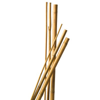 Tige en bambou - Nature - Aménagement du potager