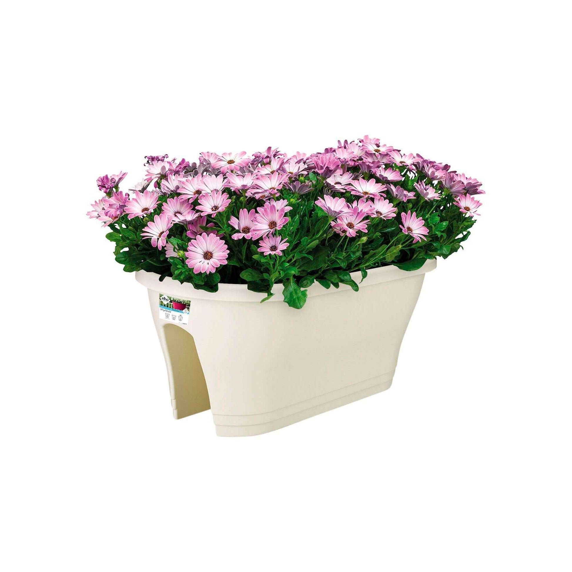 Elho jardinière Corsica flower bridge ovale blanc - Pot pour l'extérieur - Grands pots de fleurs