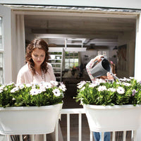 Elho jardinière Corsica flower bridge ovale anthracite - Pot pour l'extérieur - Grands pots d'extérieur