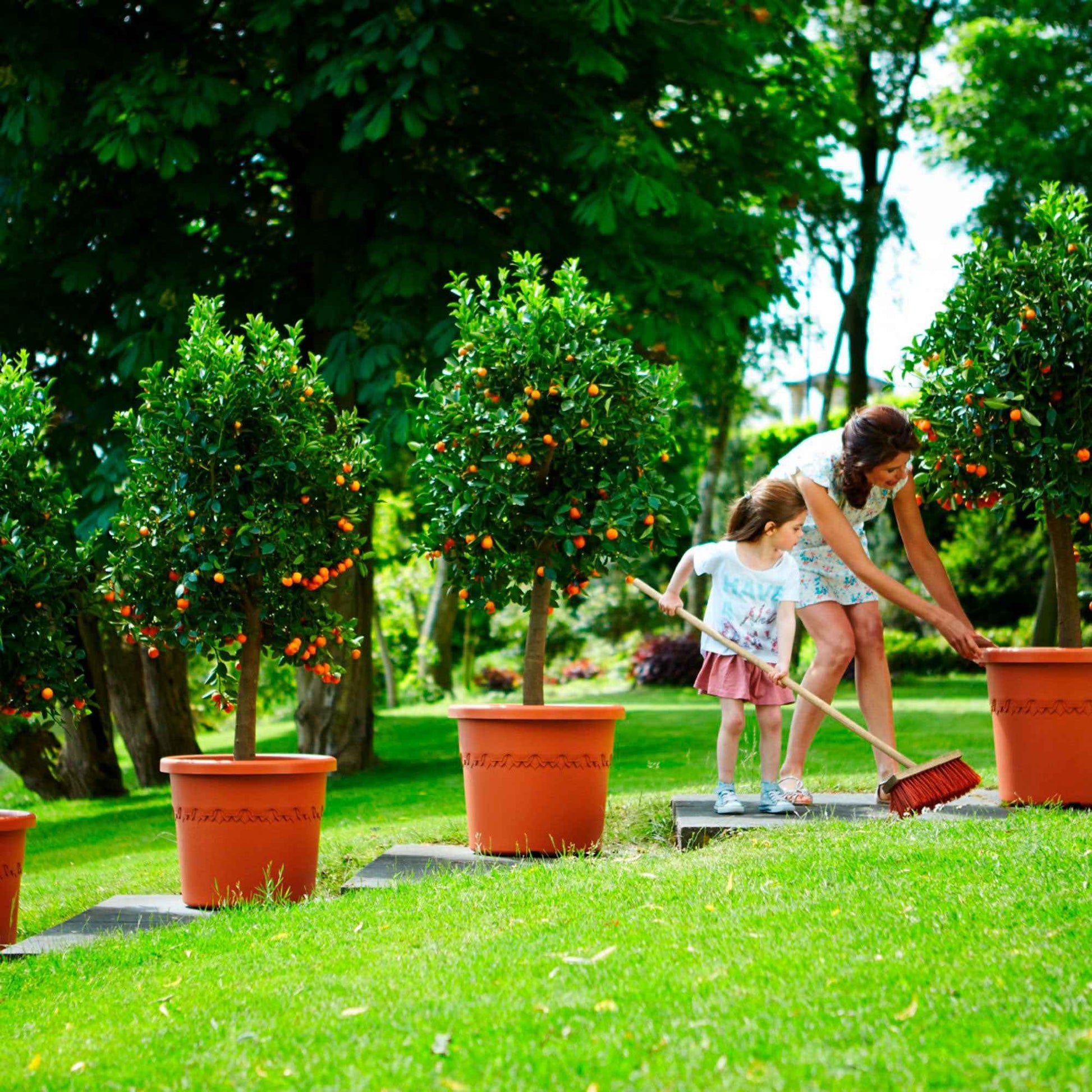 Elho pot de fleurs Algarve cilindro rond terre cuite avec roues - Pot pour l'extérieur - Grands pots de fleurs