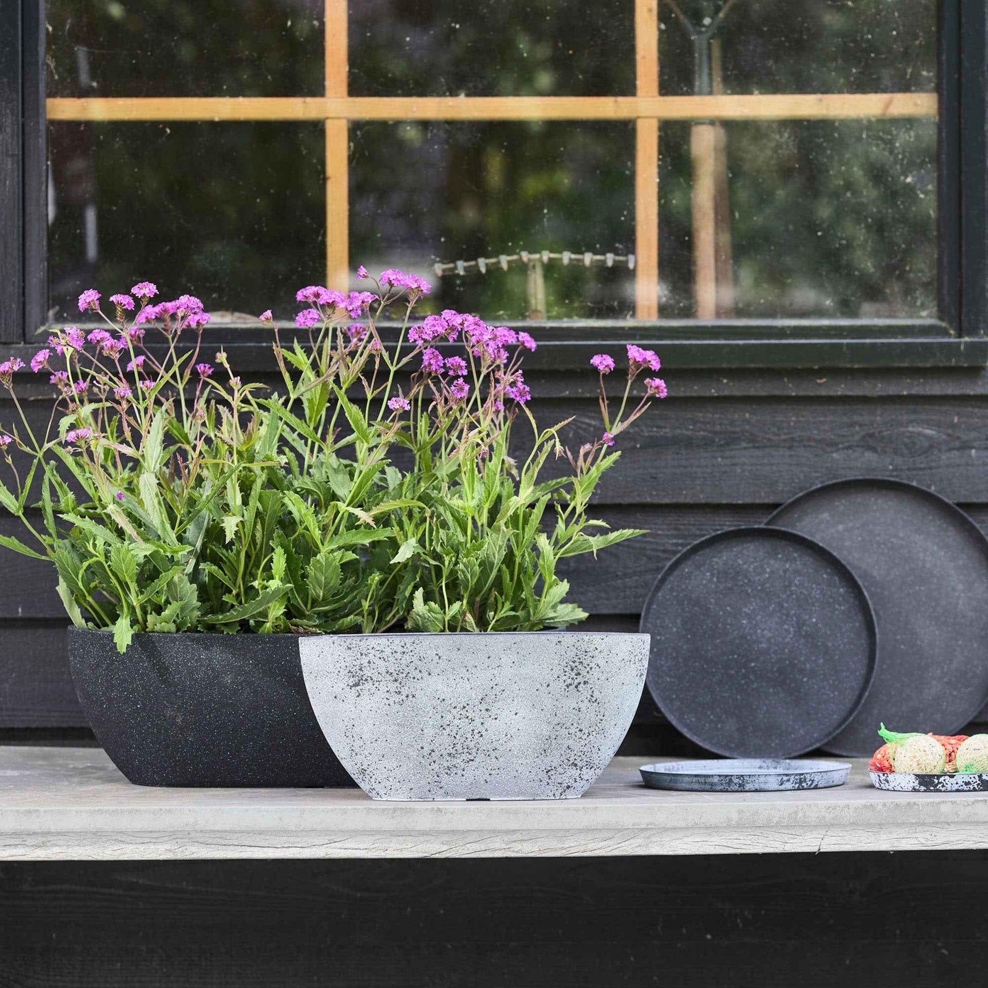 TS jardinière Nova ovale gris - Pot pour l'intérieur et l'extérieur - Grands pots d'intérieur
