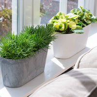 Artstone jardinière Claire ovale gris - Pot pour l'intérieur et l'extérieur - Marques