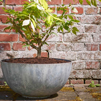 Mica vase Bravo rond gris - Pot pour l'intérieur et l'extérieur - Grands pots d'extérieur