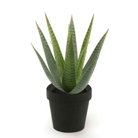 Plante artificielle Aloe vera avec cache-pot noir - Plantes artificielles