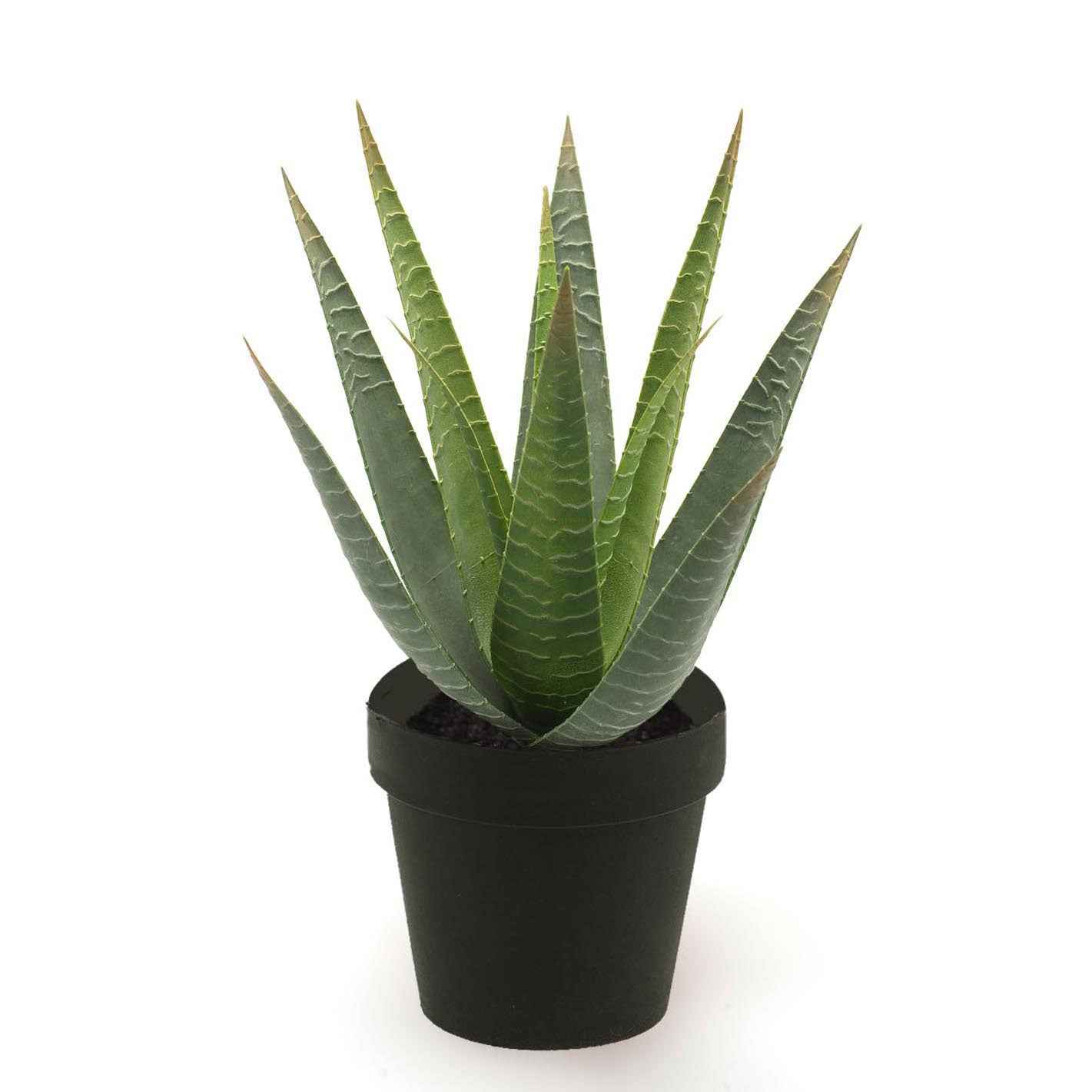 Plante artificielle Aloe vera avec cache-pot noir - Plantes artificielles populaires