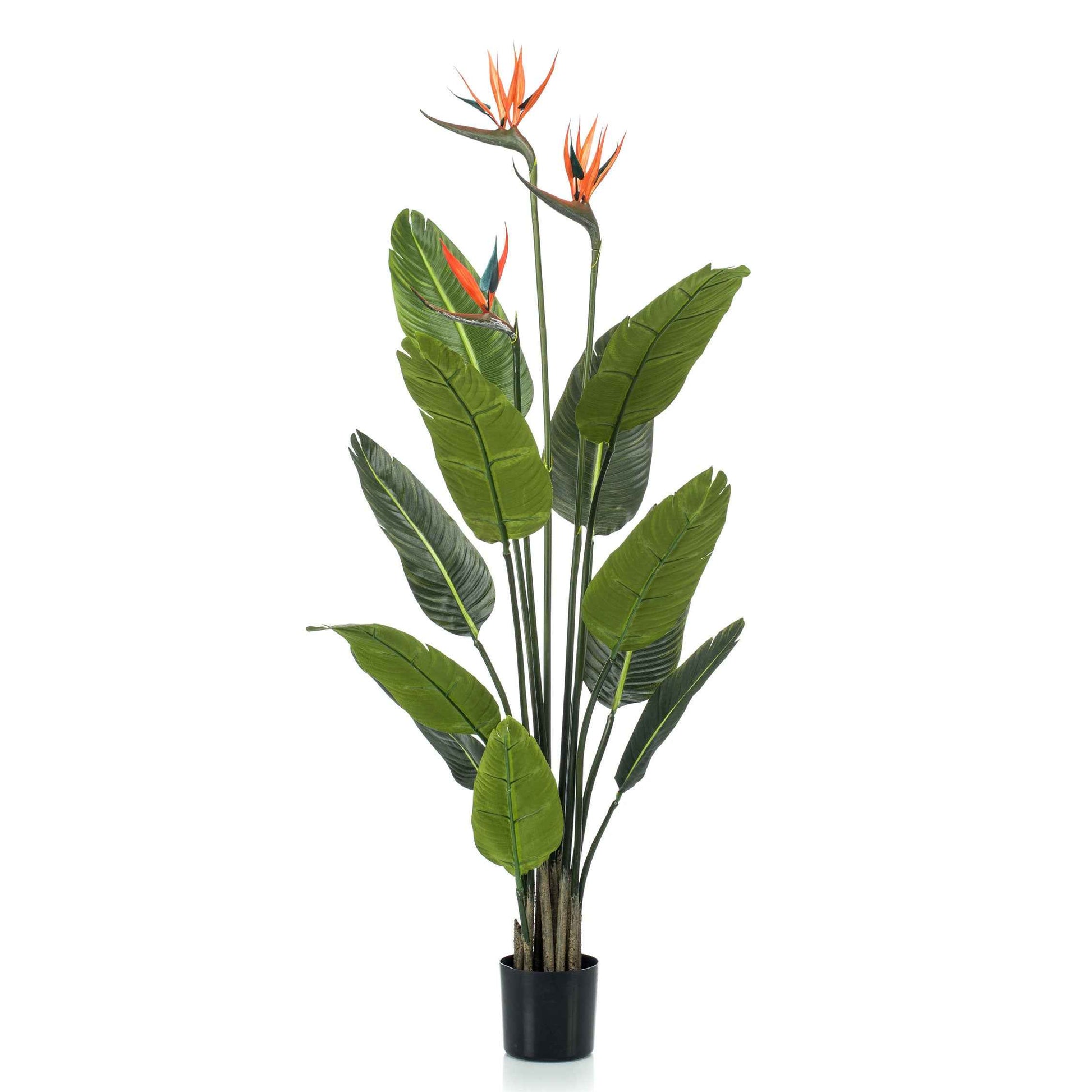 Plante artificielle Oiseau de paradis Strelitzia orangé avec cache-pot noir - Plantes fleuries artificielles