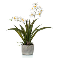 Plante artificielle Orchidée Oncidium blanc-jaune avec cache-pot céramique - Petites plantes artificielles