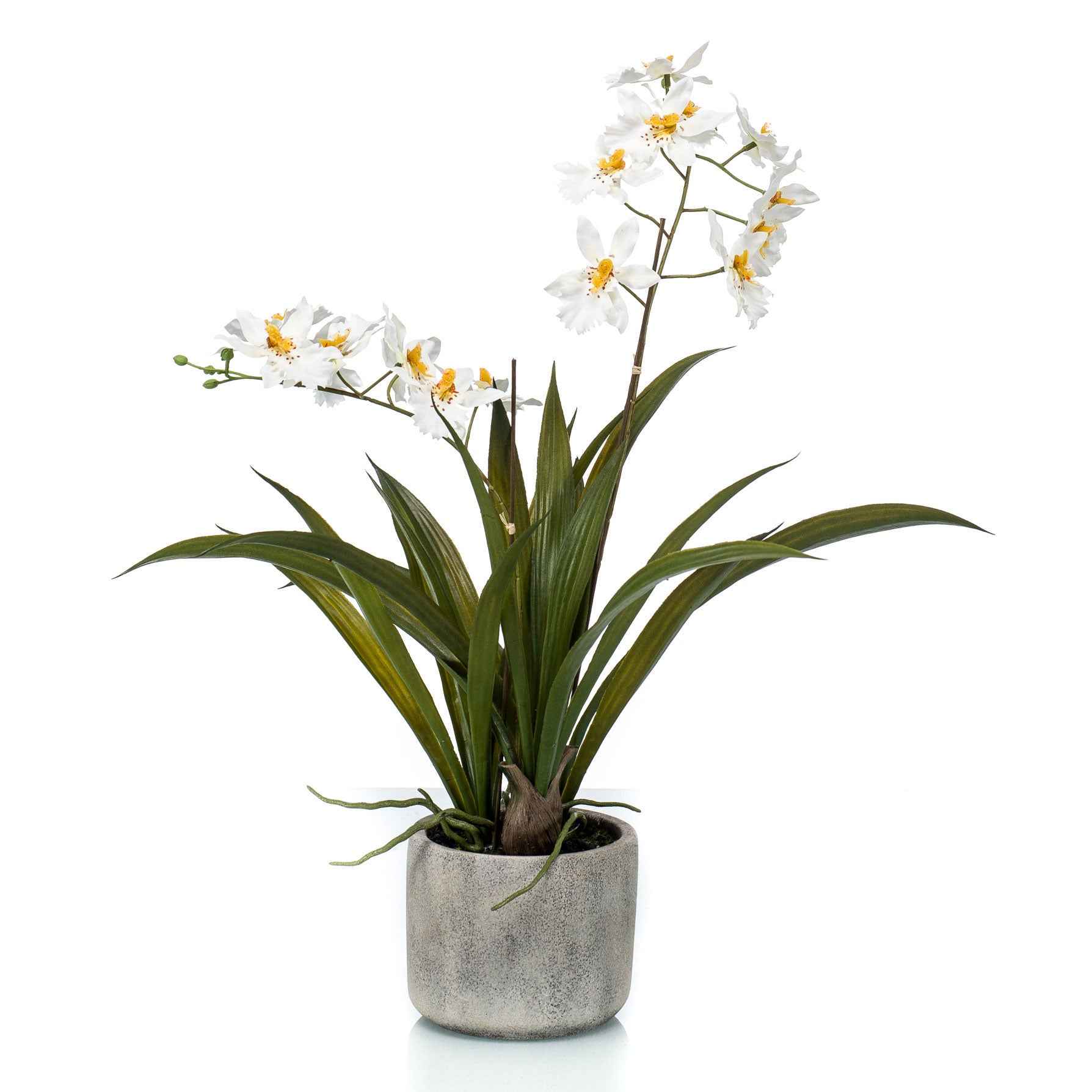 Plante artificielle Orchidée Oncidium blanc-jaune avec cache-pot céramique - Plantes artificielles