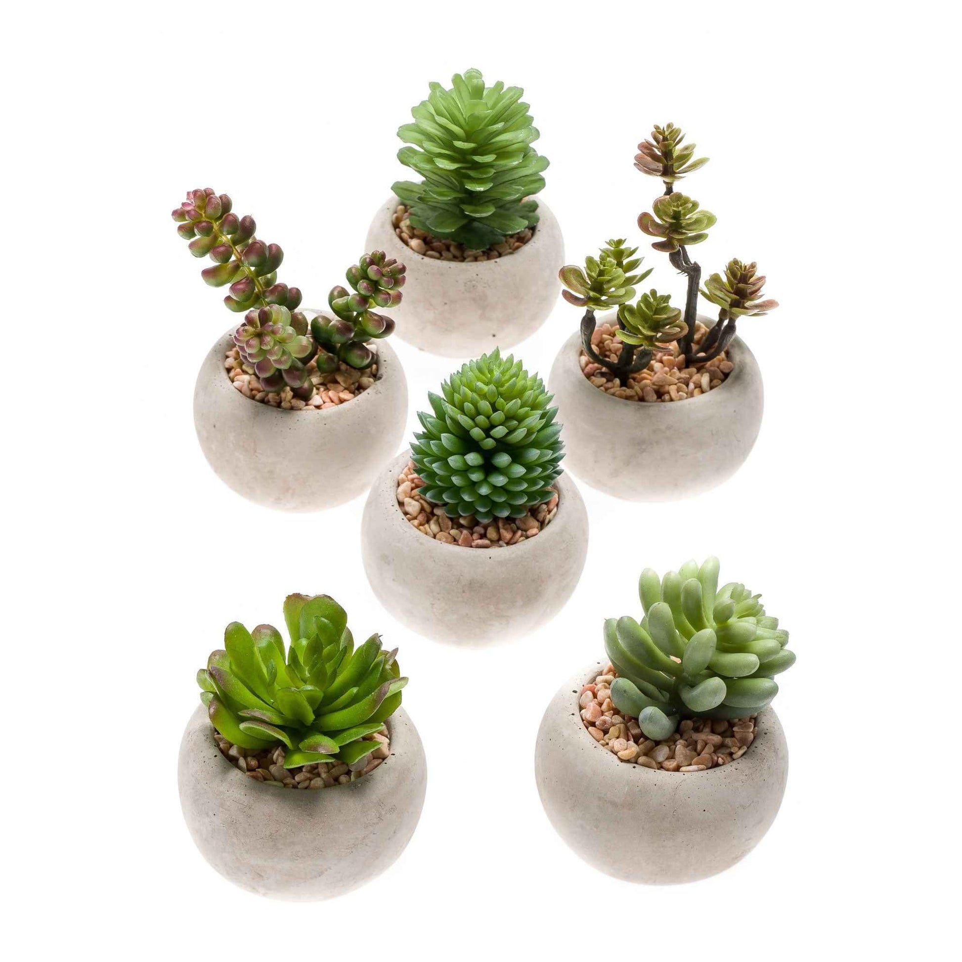6x Plante artificielle Succulents - Mélange avec cache-pot en béton - Plantes artificielles populaires