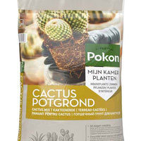 Terreau pour cactus et succulentes 5 litres - Pokon - Entretien