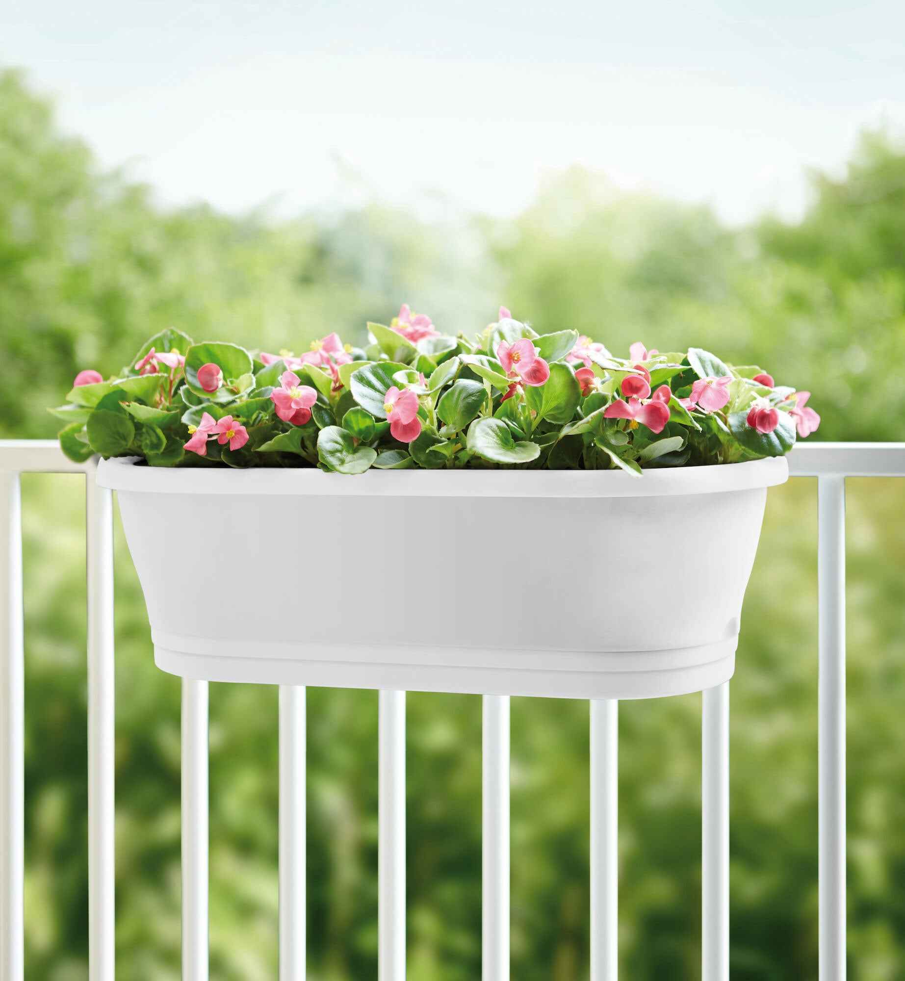 Elho jardinière Corsica easy balcony ovale blanc - Pot pour l'extérieur - Elho
