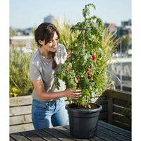 Elho pot de tomates Green basics rond noir - Pot pour l'extérieur - Aménagement du potager