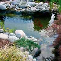 Ubbink Gravier pour étang 10 kg - Entretien plantes aquatique