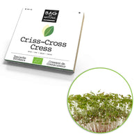 Kit de semis et de culture Cresson Lepidium 'Cresson de Connaisseur' - Biologique - Graines