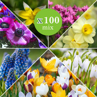 100x Bulbes de fleurs - Mélange 'Running Wild' - Arbustes à papillons et plantes mellifères