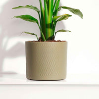 Mica pot de fleurs Era rond vert relief - Pot pour l'intérieur - Grands pots d'intérieur