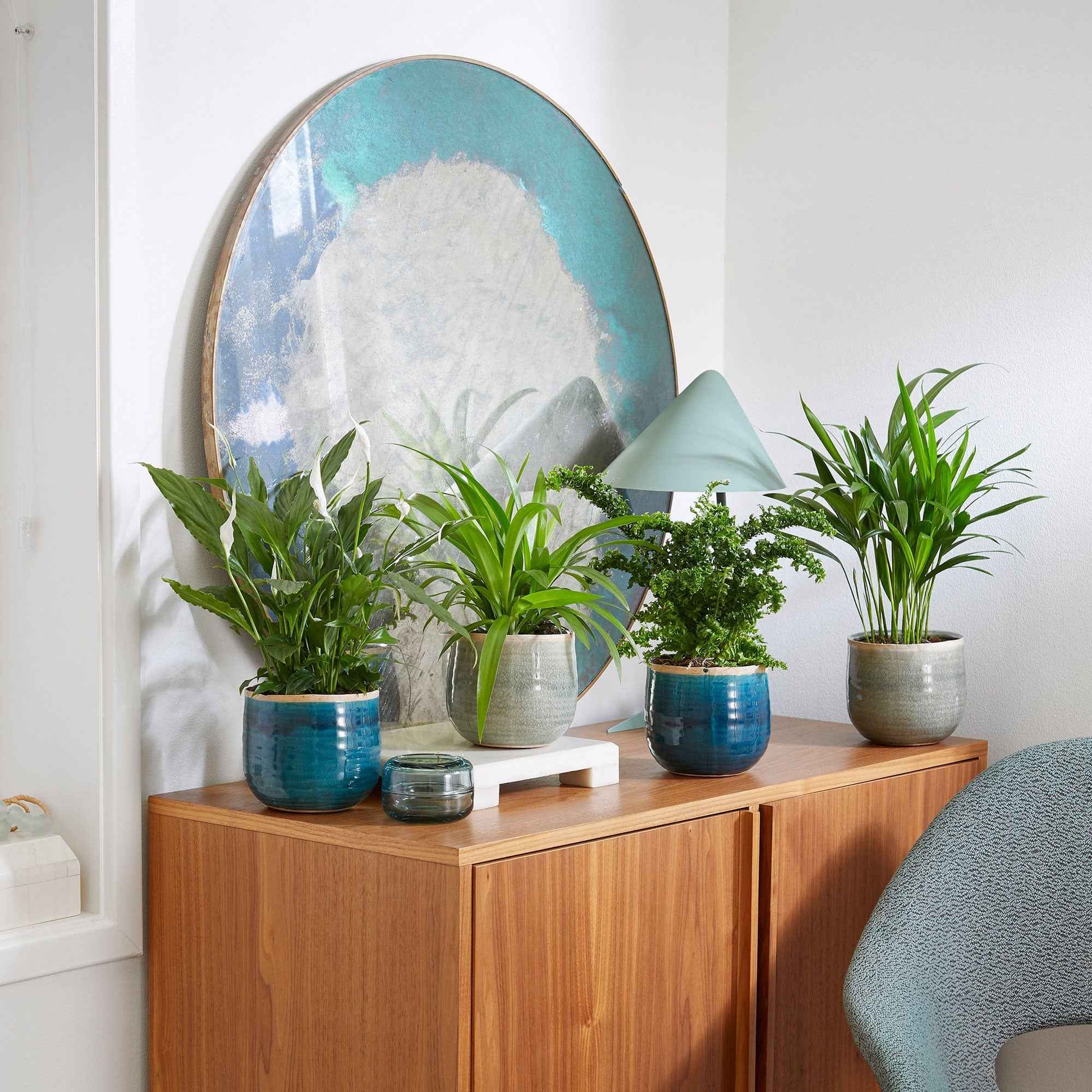 4x Plante d'intérieur purificatrice d'air - Mélange incl. cache-pots verts et bleus - Ensembles de plantes d'intérieur