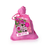 20x Bulbes de fleurs - Mélange 'The Pink Bag' rose - Bulbes d'été