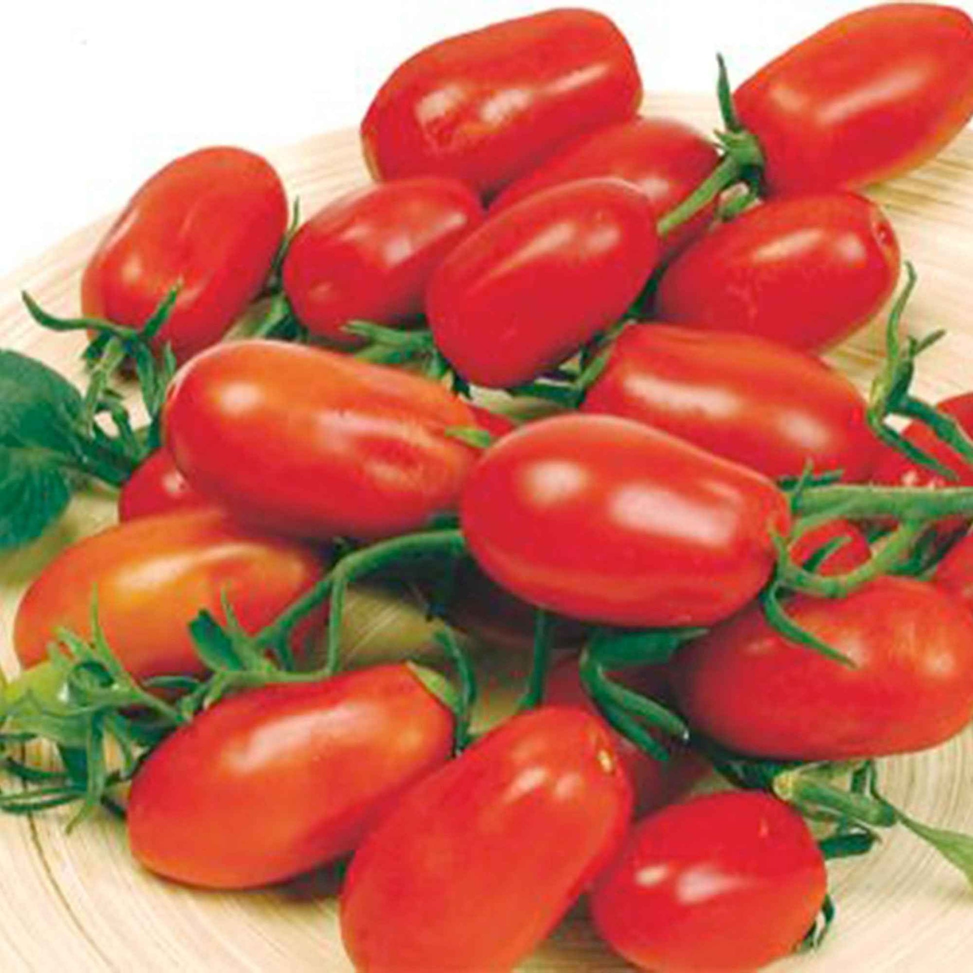 Tomate Solanum 'Ravello F1' 2 m² - Semences de légumes - Graines de Légumes
